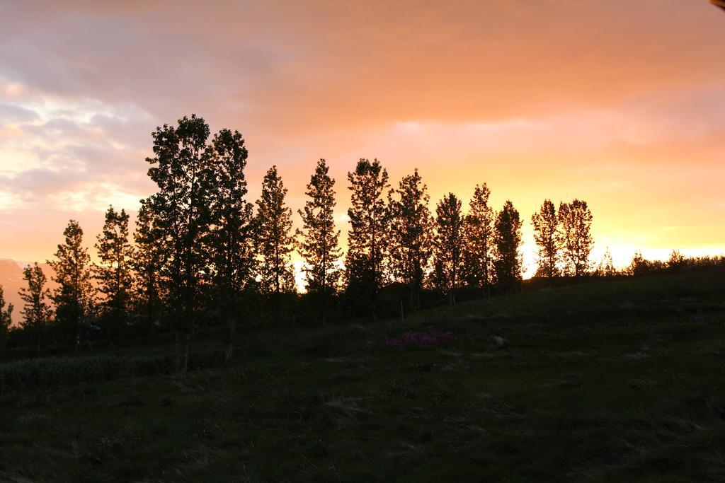 Akureyri Log Cottage エクステリア 写真