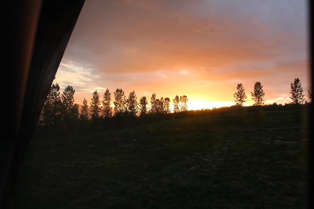 Akureyri Log Cottage エクステリア 写真